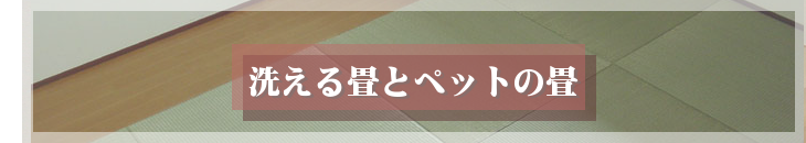 洗える畳とペットの畳